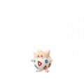 PKMN Go Shiny 175.png