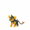 PKMN Go Shiny 404.png